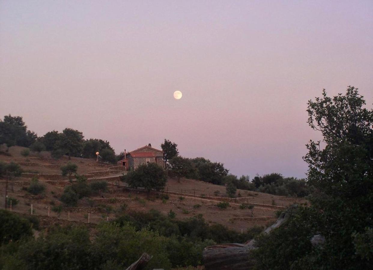 Toumba Eco Farm Guesthouses Plomari Екстериор снимка
