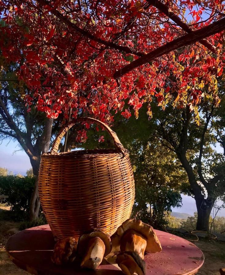 Toumba Eco Farm Guesthouses Plomari Екстериор снимка