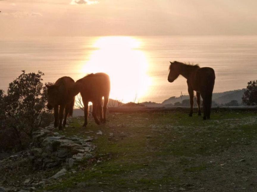 Toumba Eco Farm Guesthouses Plomari Екстериор снимка