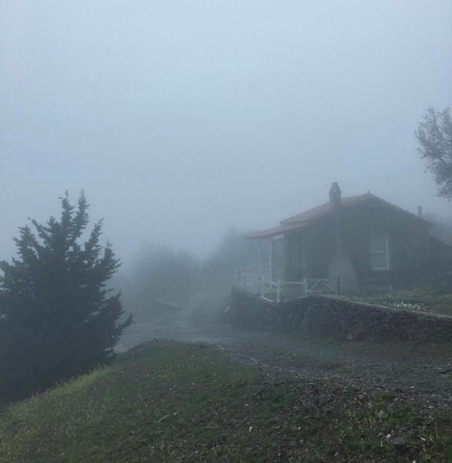 Toumba Eco Farm Guesthouses Plomari Екстериор снимка