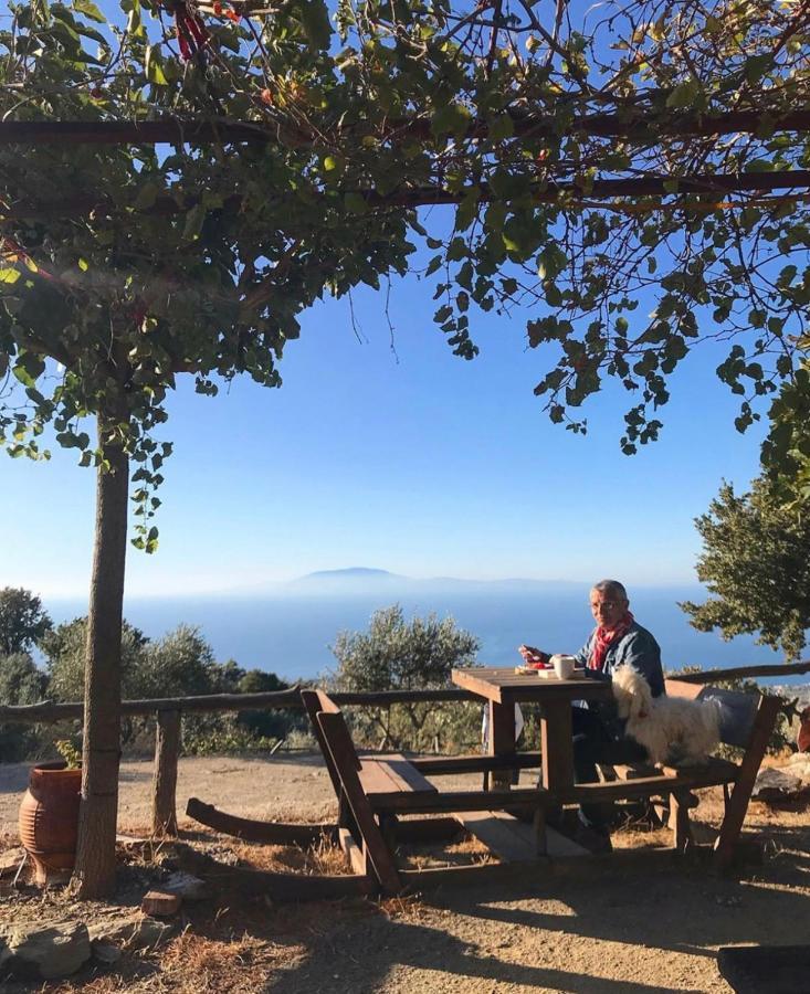 Toumba Eco Farm Guesthouses Plomari Екстериор снимка
