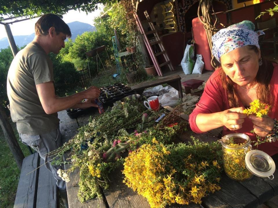 Toumba Eco Farm Guesthouses Plomari Екстериор снимка