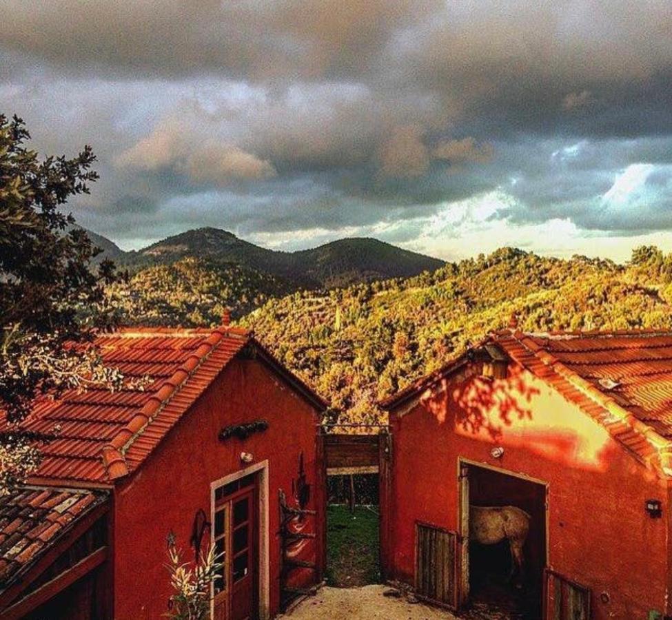 Toumba Eco Farm Guesthouses Plomari Екстериор снимка