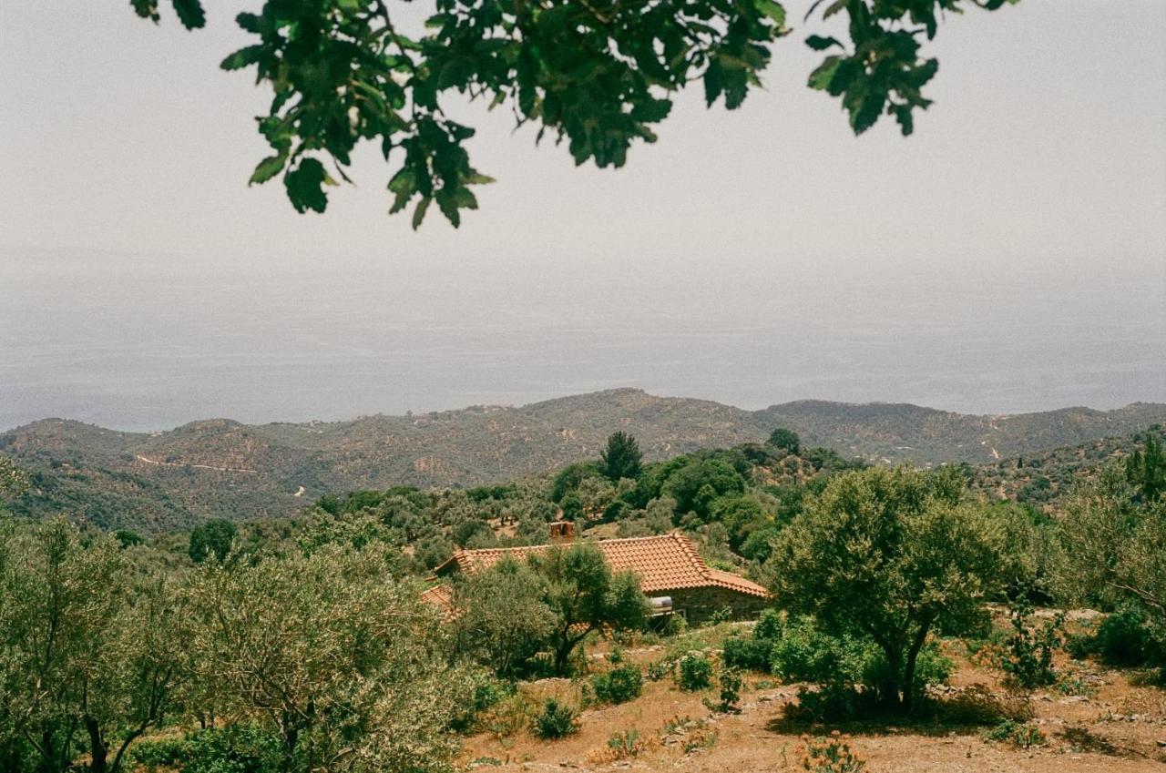 Toumba Eco Farm Guesthouses Plomari Екстериор снимка