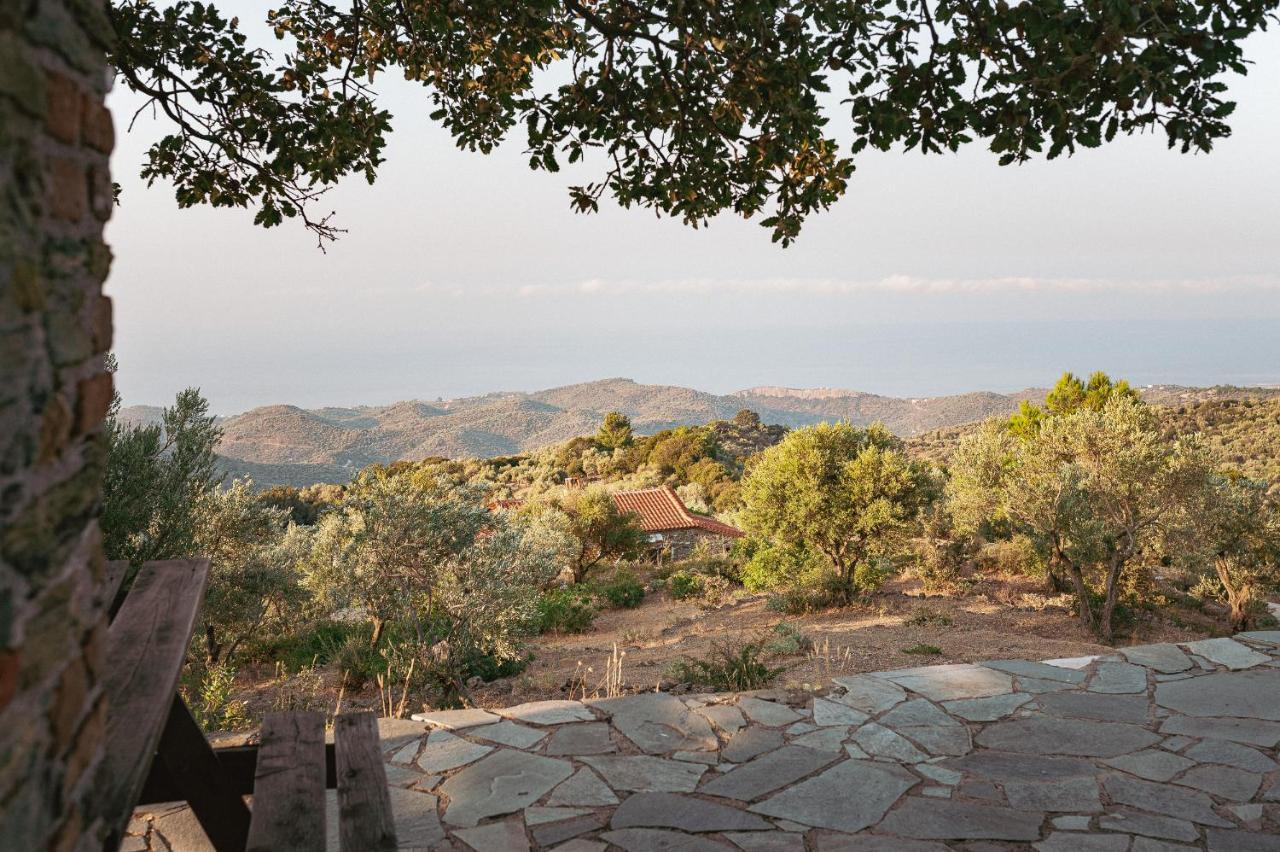 Toumba Eco Farm Guesthouses Plomari Екстериор снимка